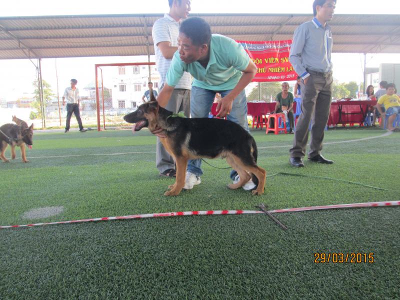 Name:  IMG_3327.jpg
Views: 0
Size:  92.7 KB