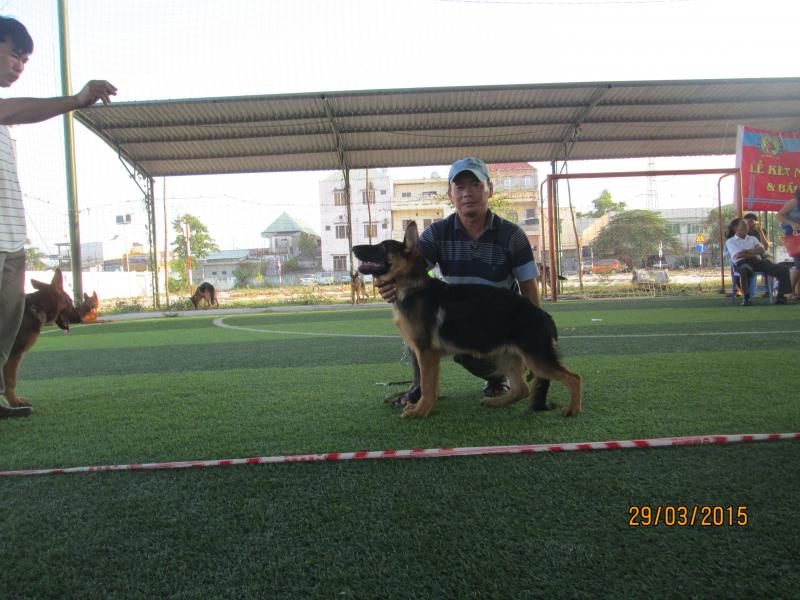Name:  IMG_3329.jpg
Views: 0
Size:  72.4 KB