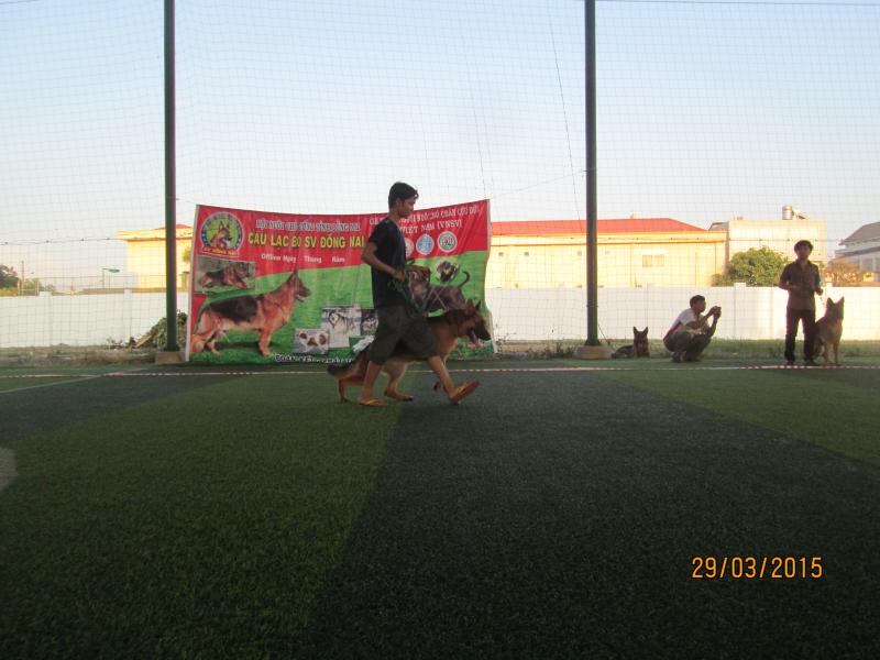 Name:  IMG_3341.jpg
Views: 0
Size:  59.2 KB