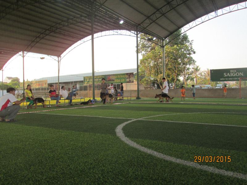 Name:  IMG_3344.jpg
Views: 0
Size:  71.9 KB