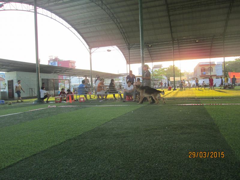 Name:  IMG_3345.jpg
Views: 0
Size:  70.6 KB
