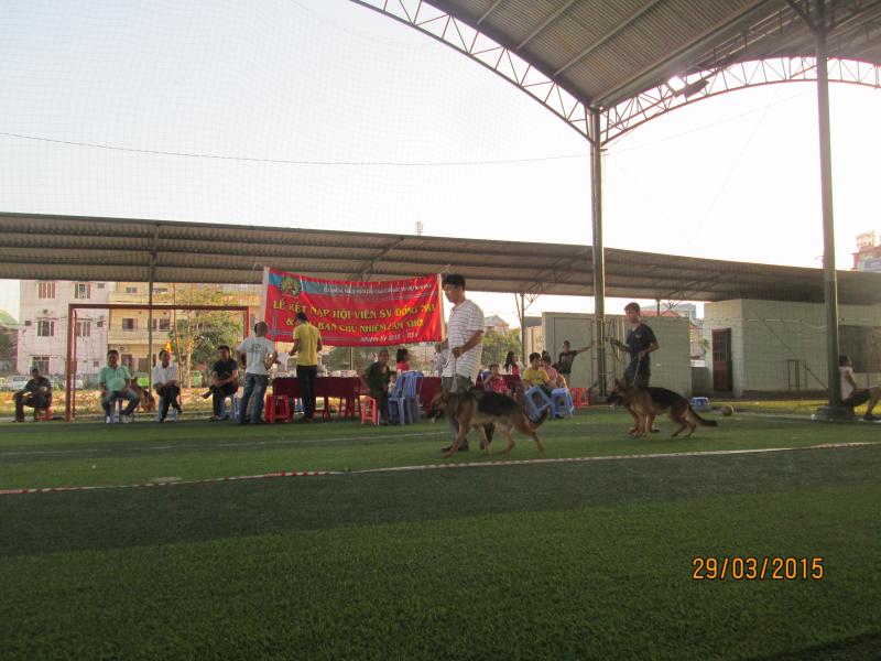 Name:  IMG_3346.jpg
Views: 0
Size:  66.2 KB