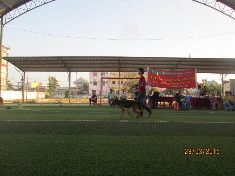 Name:  IMG_3347.jpg
Views: 0
Size:  66.1 KB