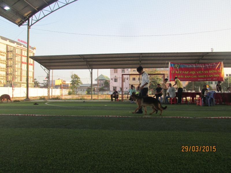 Name:  IMG_3349.jpg
Views: 0
Size:  68.8 KB