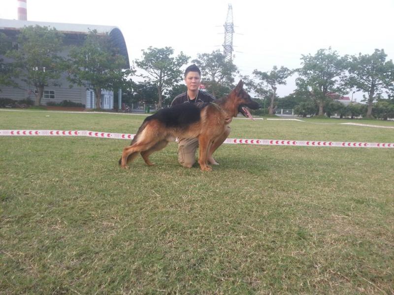 Name:  11186404_456152917874371_246829002_n.jpg
Views: 0
Size:  85.6 KB