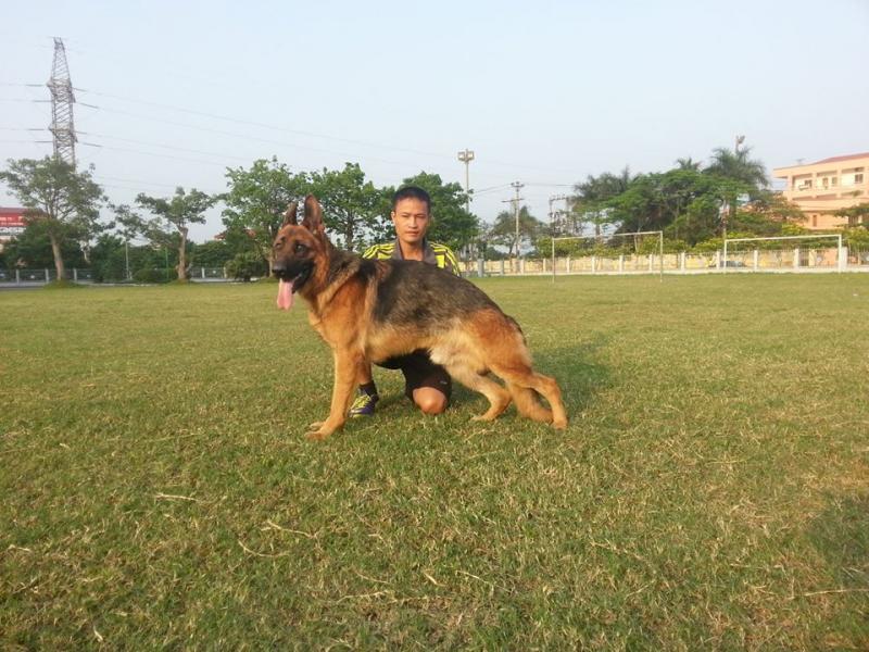 Name:  11178618_456153087874354_661763455_n.jpg
Views: 0
Size:  87.7 KB