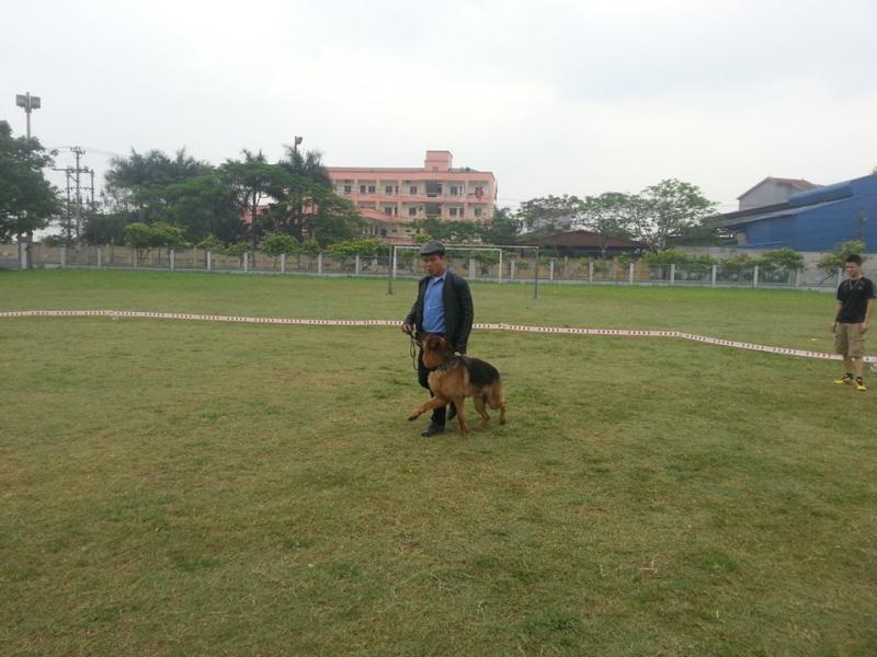 Name:  11195484_456365714519758_1372177100_n.jpg
Views: 0
Size:  62.7 KB