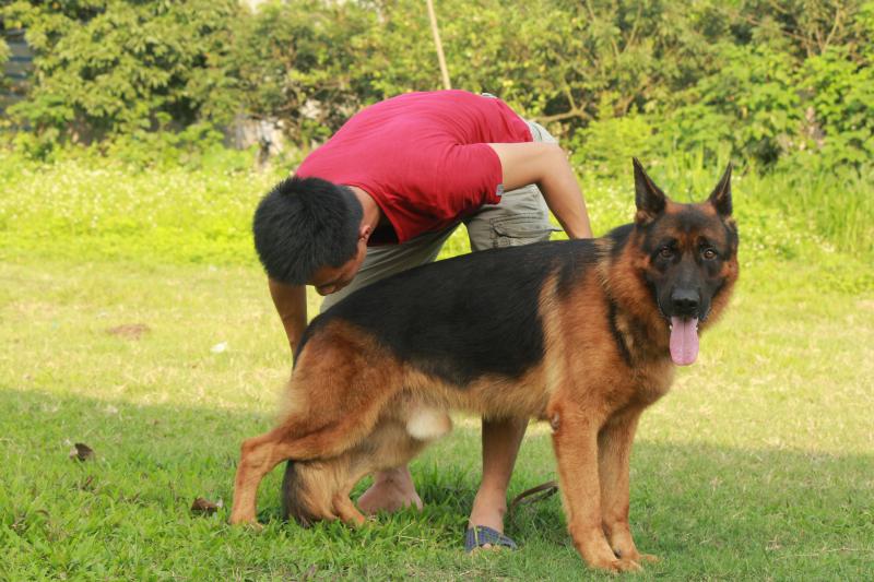 Name:  ảnh hy 166.jpg
Views: 0
Size:  77.5 KB