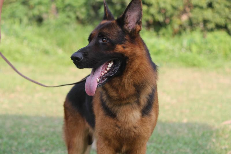 Name:  ảnh hy 176.jpg
Views: 0
Size:  40.8 KB