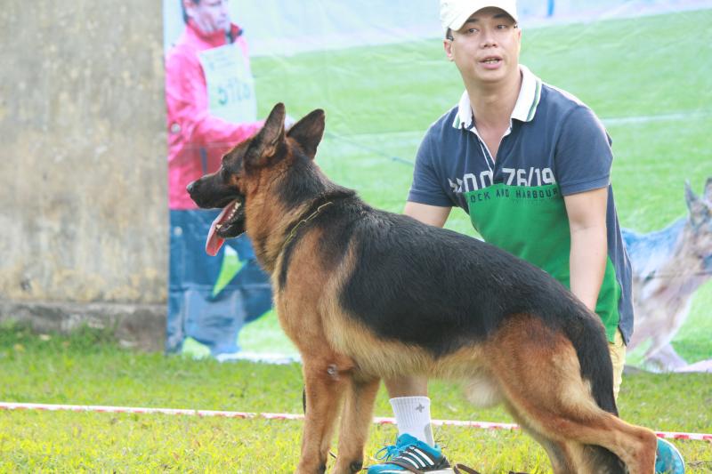 Name:  ảnh hy 211.jpg
Views: 0
Size:  58.0 KB