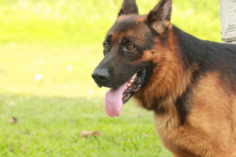 Name:  ảnh hy 188.jpg
Views: 0
Size:  50.1 KB