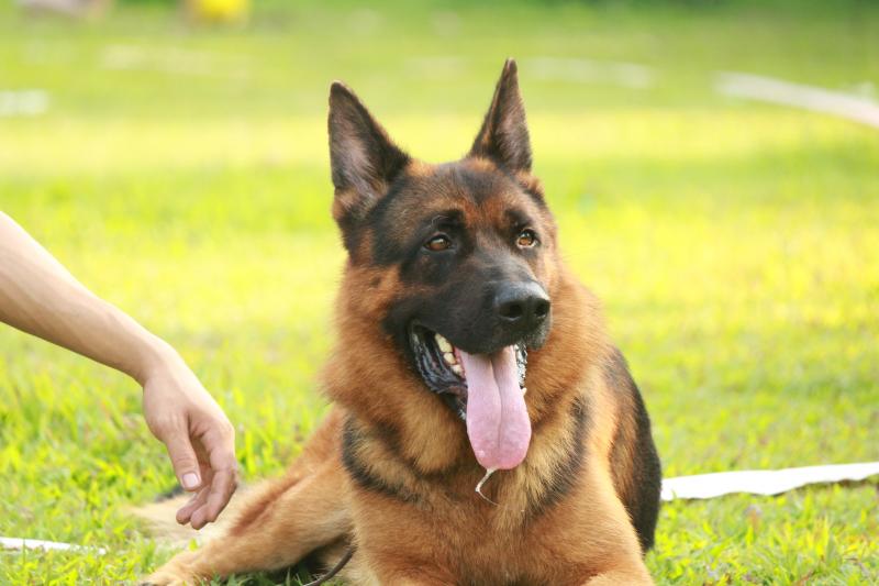 Name:  ảnh hy 199.jpg
Views: 0
Size:  47.4 KB