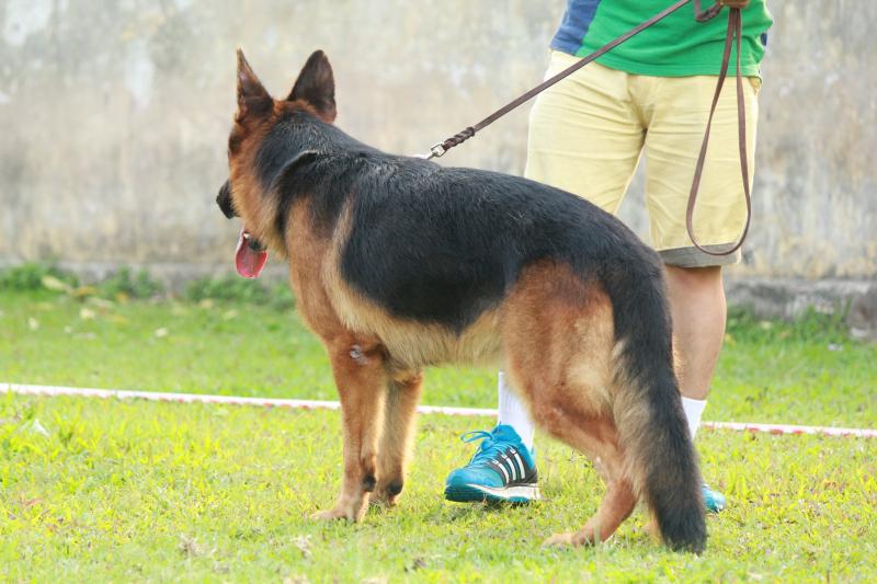 Name:  IMG_3740.jpg
Views: 0
Size:  63.4 KB