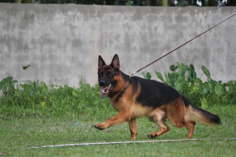 Name:  IMG_3758.jpg
Views: 0
Size:  54.7 KB