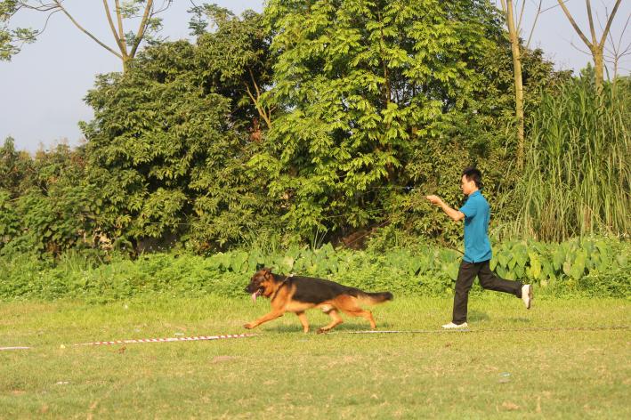 Name:  IMG_3811.jpg
Views: 0
Size:  98.5 KB