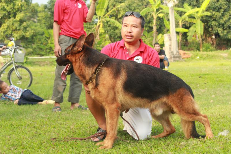 Name:  IMG_3824.jpg
Views: 0
Size:  85.9 KB