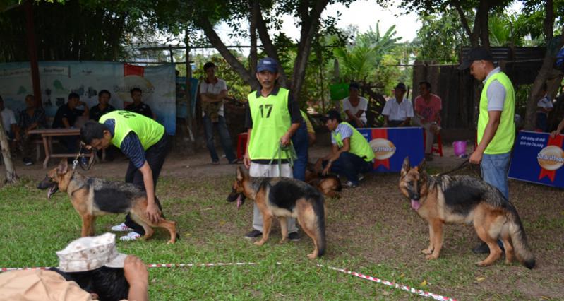 Name:  DSC_0324.jpg
Views: 0
Size:  68.4 KB