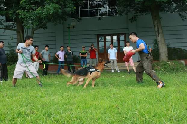 Name:  FB_IMG_1442050705878.jpg
Views: 0
Size:  37.8 KB