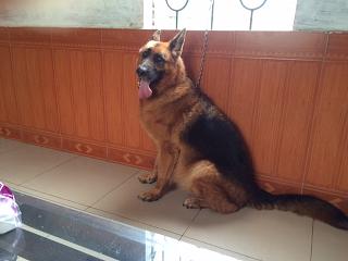 Name: sit.JPG
Views: 0
Size: 12.5 KB