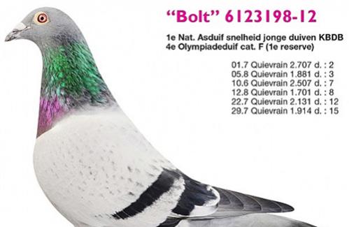 Name:  bocau-8ty.jpg
Views: 113
Size:  21.9 KB