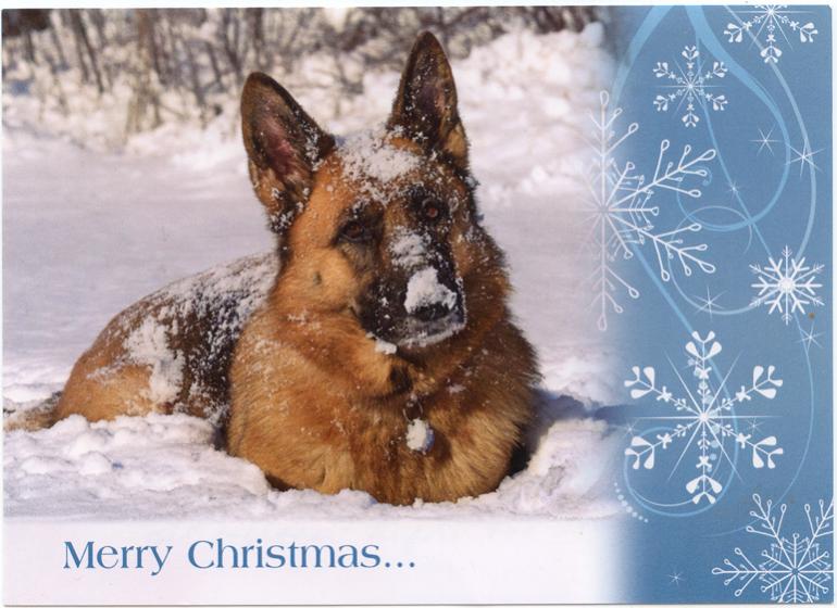 Name:  german-shepherd-dog-christmas-card.jpg
Views: 0
Size:  67.3 KB